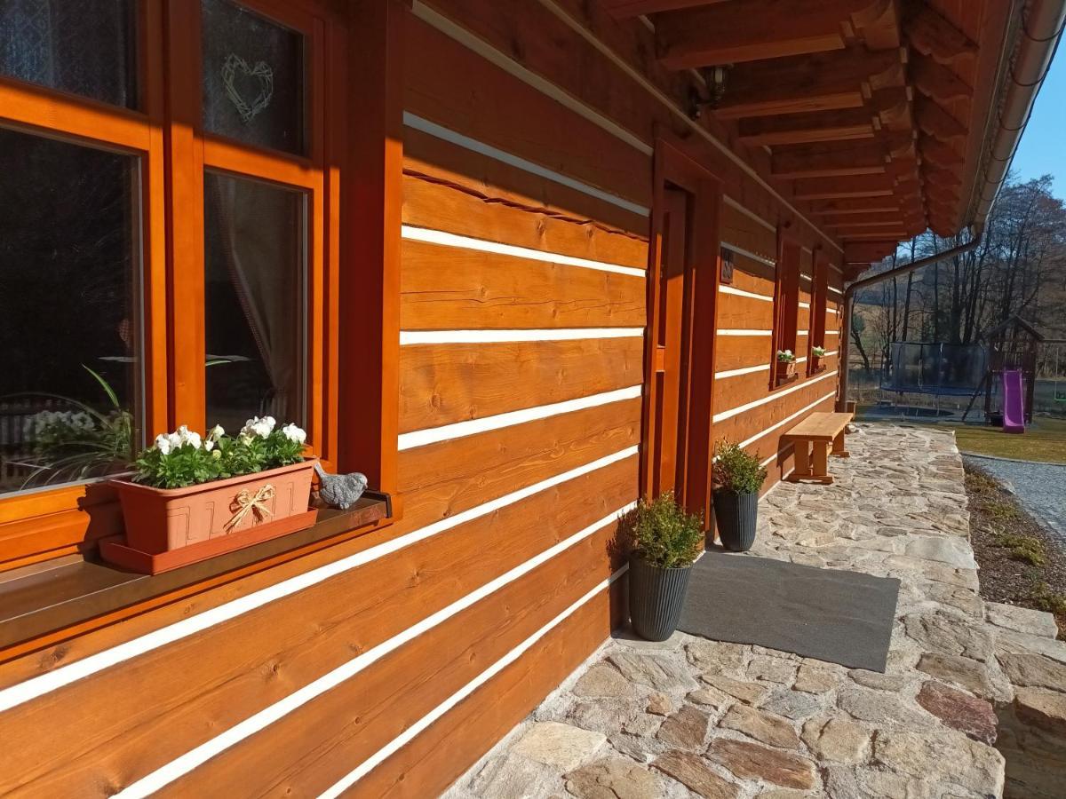 Apartmany U Vlcich Jam Petrovice u Susice Luaran gambar