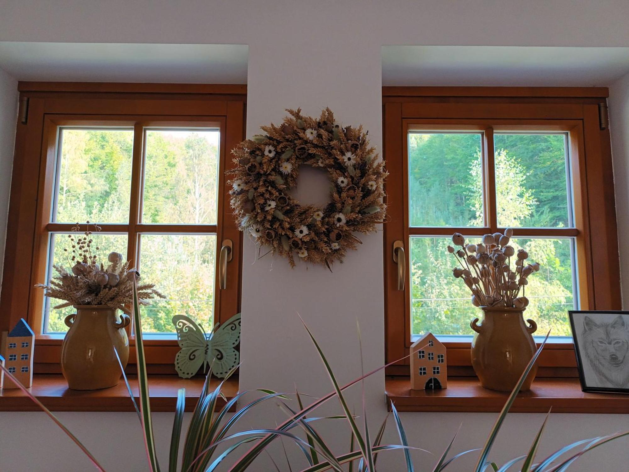 Apartmany U Vlcich Jam Petrovice u Susice Luaran gambar